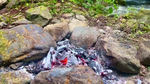 Cooking CHICKEN BURGERS in Nature🍔🌿