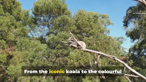 Gold Coast Australia: 10 BEST Things To Do In 2025 (Travel Guide)