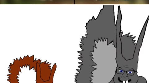 Squirrell bros it is... over....