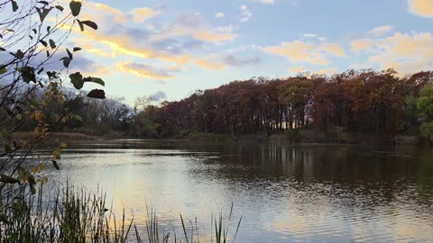 Neighborhood Pond at Sunset with Fall Colors