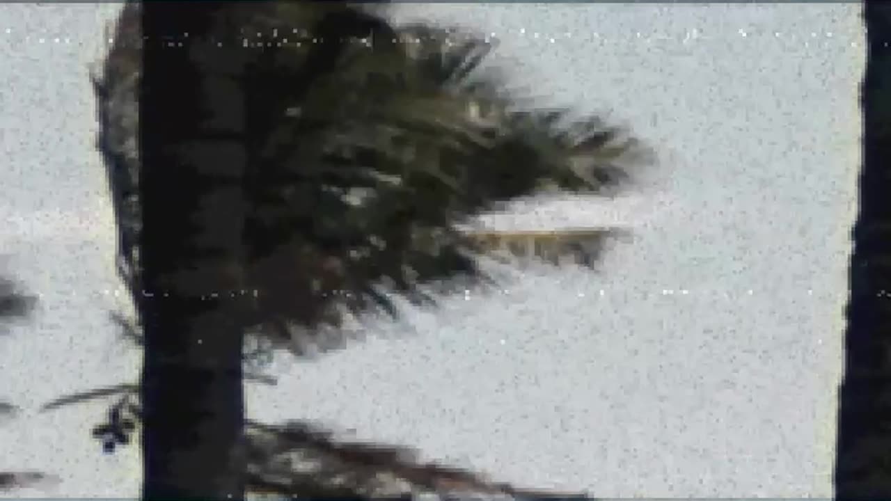 HYDRA ONO- FISH OUTTA WATER
