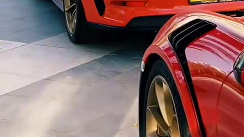 🌟✨ Rate This Exotic Beauty 1-10! 🌟✨ | LuxurySportsCars