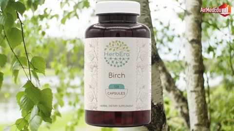 Efecto del ABEDUL o Betula pendula en el Organismo