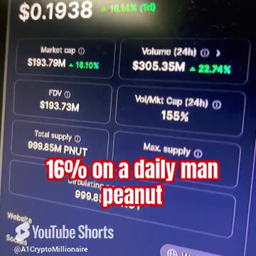 peanut the squirrel 🐿️ crypto market price prediction news today #fyp
