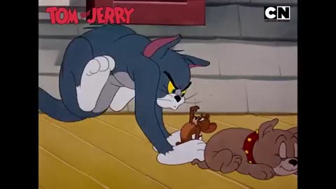 Tom & Jerry 😺🐭| The Original Mischief Makers 🤪| Cat and Mouse
