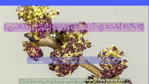 40 Rabbana Duas (Dua no 20)