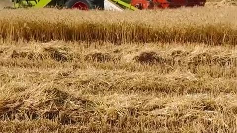 Vishal 435 kheti badi per kam kar rahi hai new Bhil archestra