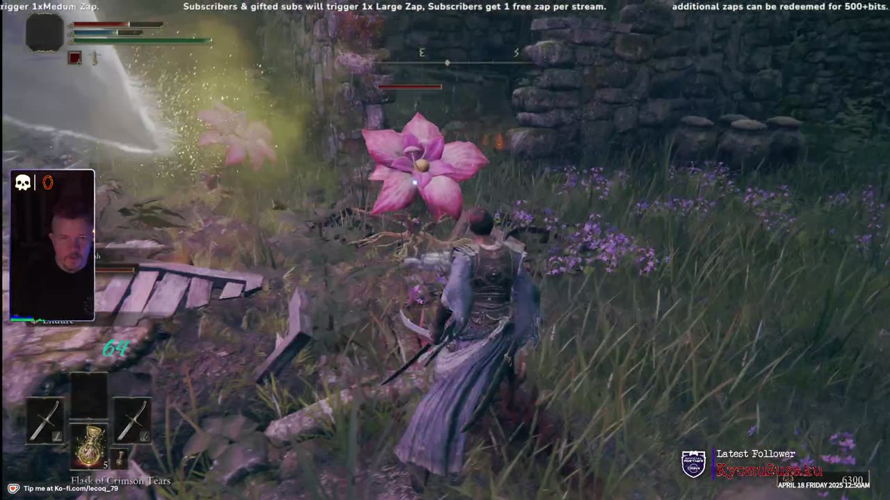 Mark the Tarnished Vs The Elden Ring
