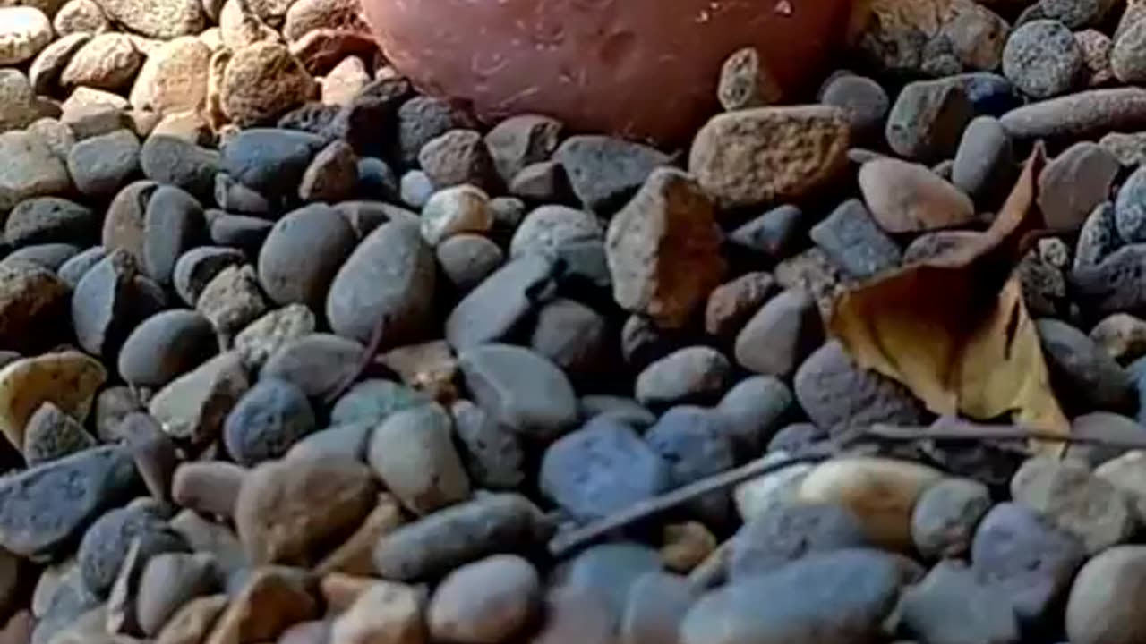 It looks kind of dirty