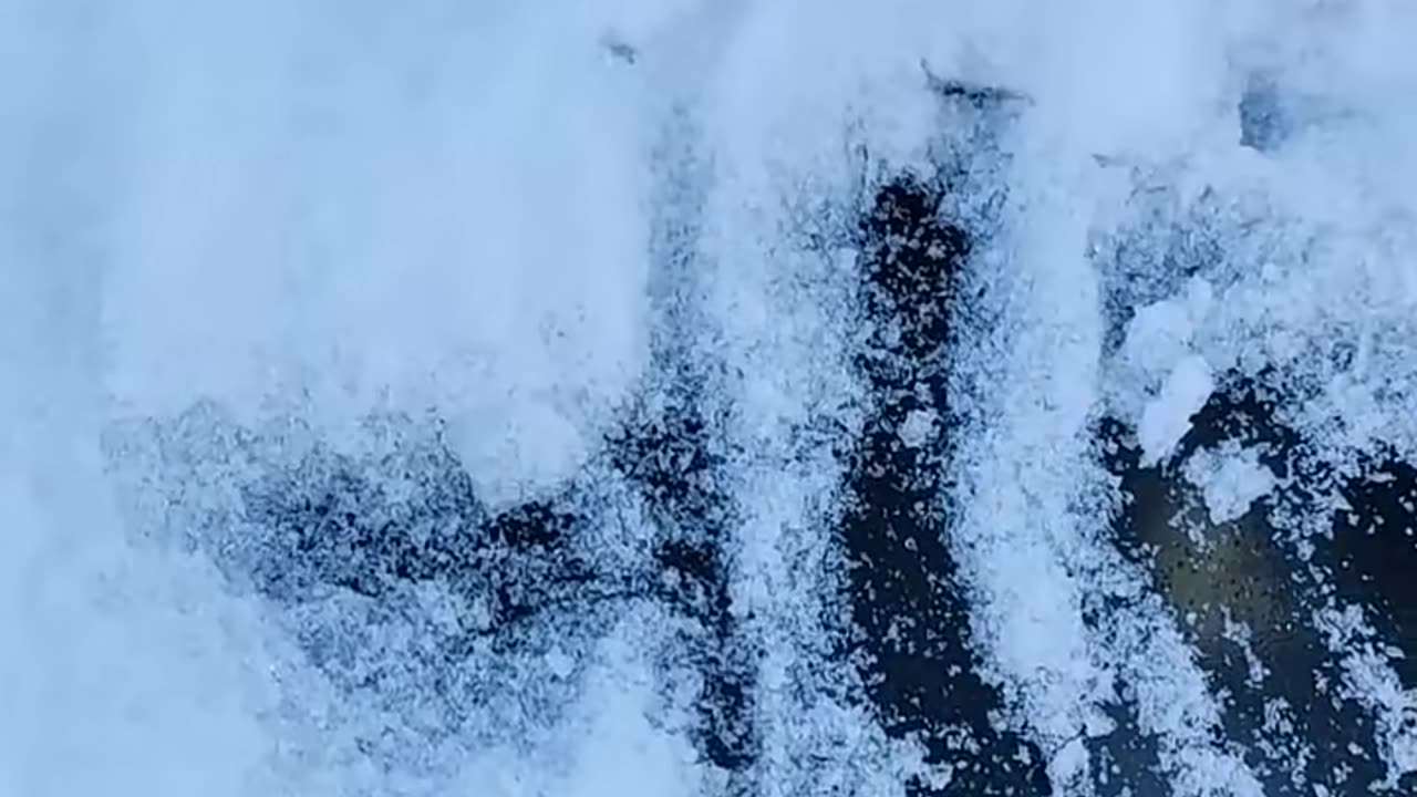Found a Frozen Dinosaur under the ice! How did it get there?