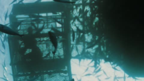 Your Business Isn’t Yours - It’s God’s Platform