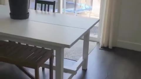 Reasoning With A Ghost