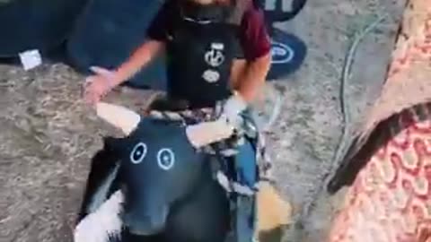 Lil cowboy in the making | funny video | crazy clips