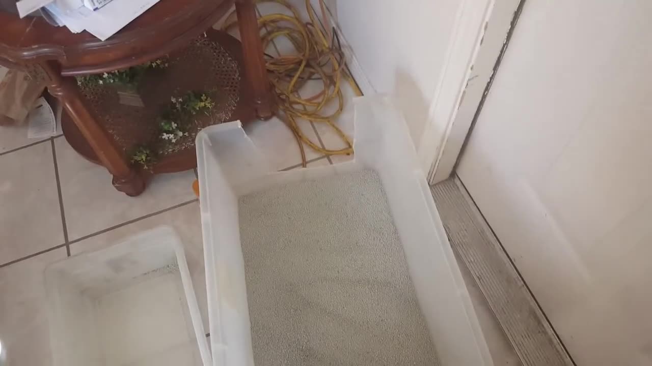 Goodbye Old Kitty Litter...... It's Been Great Having You. (June 29, 2017)