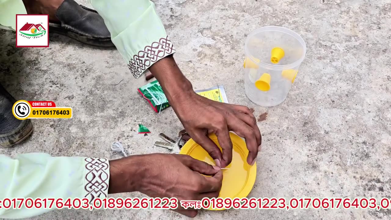 ফেরোমন ফাঁদ ব্যবহার করবেন যেভাবে | Rooftop Gardening Tips