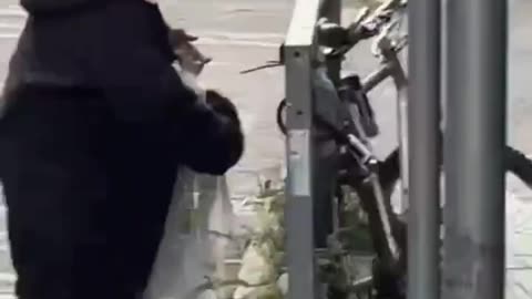 This is Ireland. Poor seagull.
