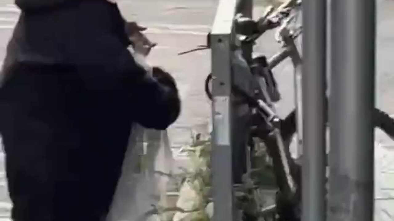 This is Ireland. Poor seagull.