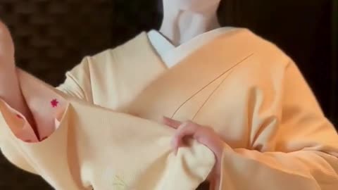 A Glimpse of Traditional Japan 🎌