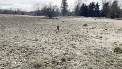 marymoor park patrol 209210982102190