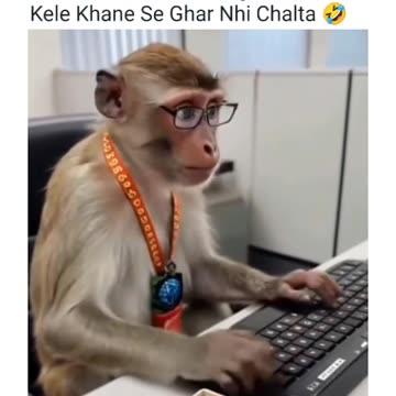 Monkey is a good work