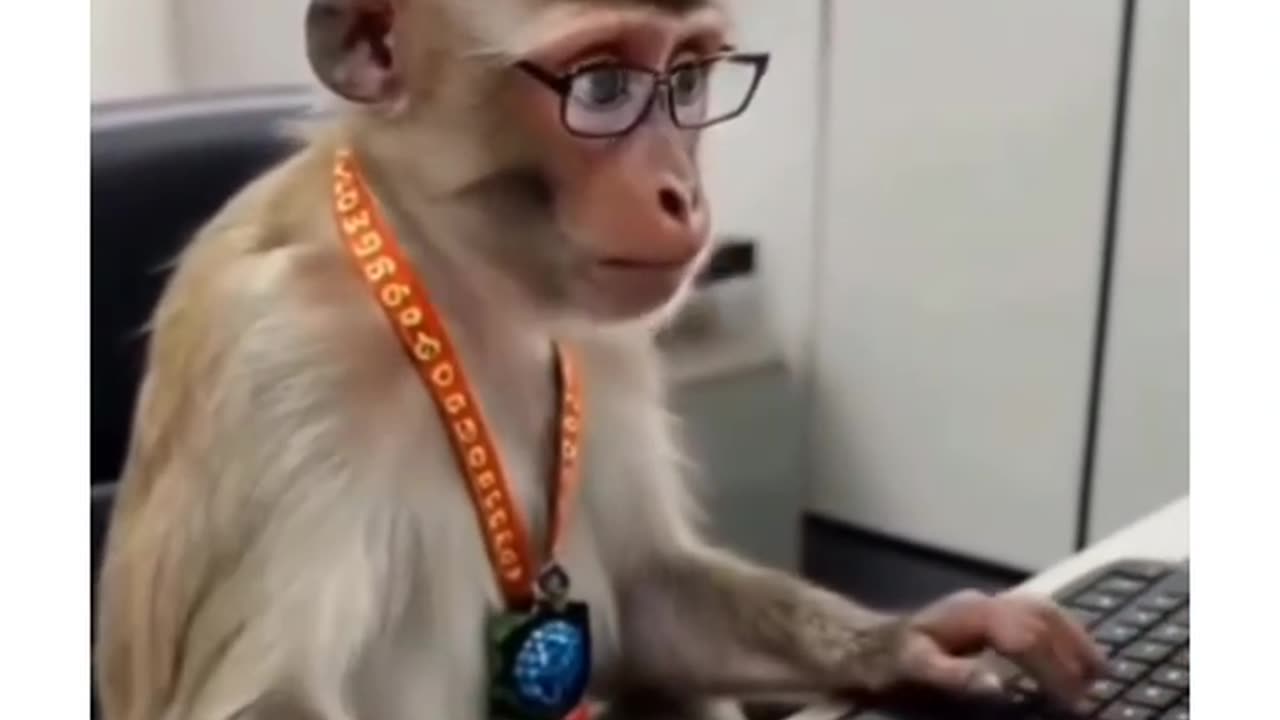Monkey is a good work