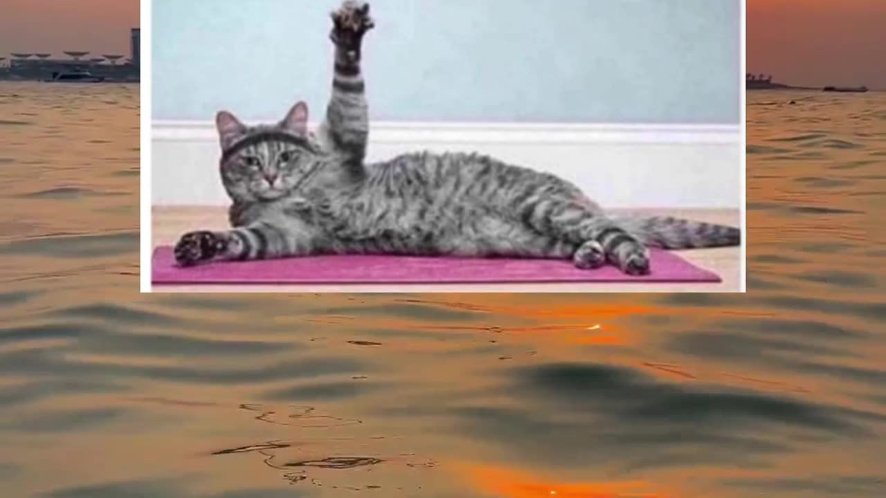 Me trying to act normal in public #funny #memes