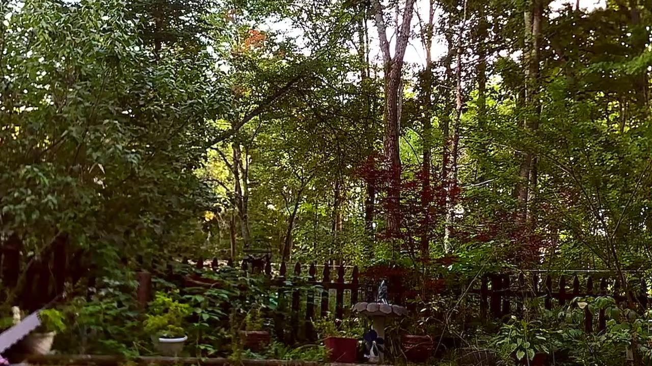 Swimming in Maine October Pool: CRAZY Cold Plunge!