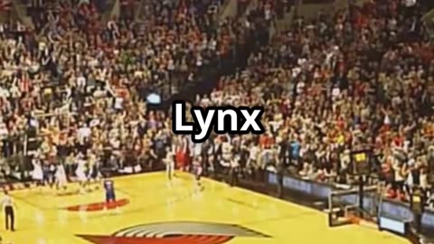 Lynx vs Fever: Napheesa Collier’s Epic Comeback! 🏀✨