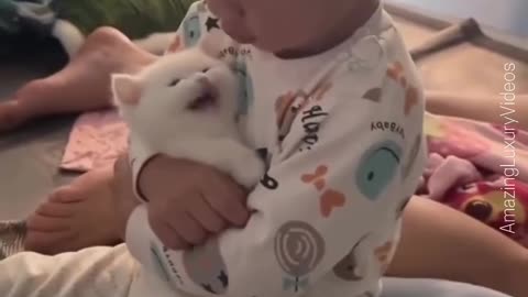 funny animals doing their thing