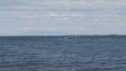 Gulf of America