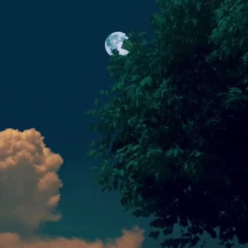 No eres moneda de oro para caerle bien a todos! tu sigue adelante! #reflexion #motivacion #tonymonta