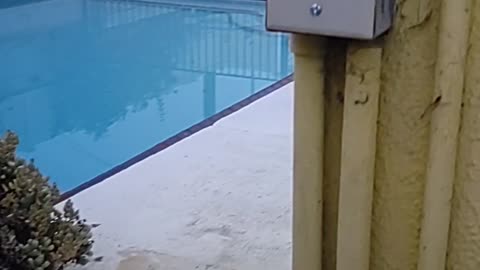 How the Pool Light Works