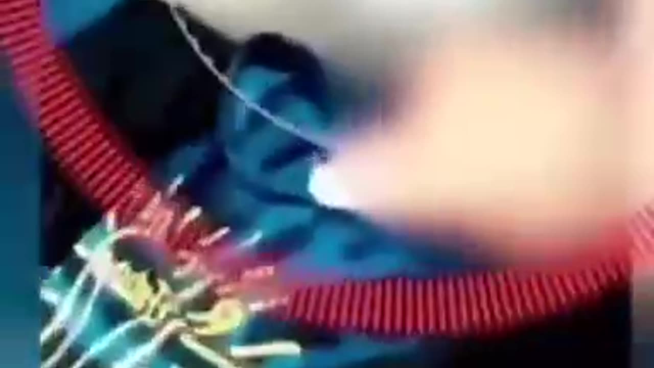 dffd
