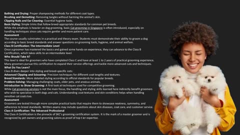 Differences in SKC Class C, B, and A Certification Courses in Pet Grooming