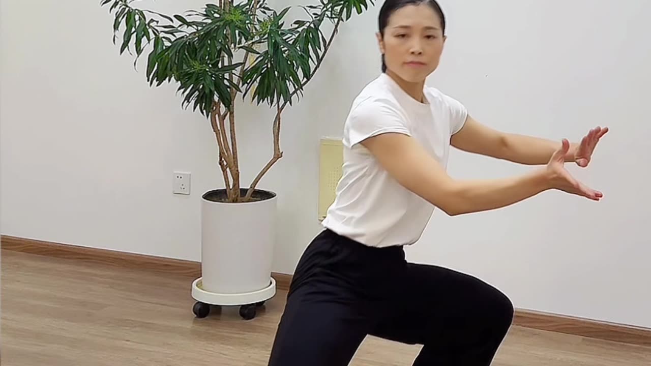 1300.太極亦無極