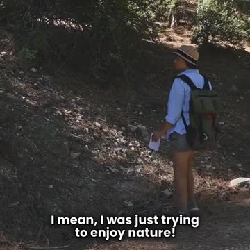 Listen to Your Gut: Why Instincts Should Lead the Way