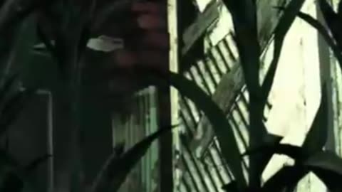 Ex-Rockstar Dev Reveals GTA 6 Delay Reasons #GTA6Hype #RockstarMagic #GamingJoy