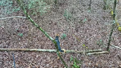 Not much to do on mud never stopping days.