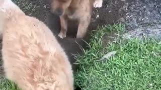 😂😂 Hilarious Bro Move! | FunFM