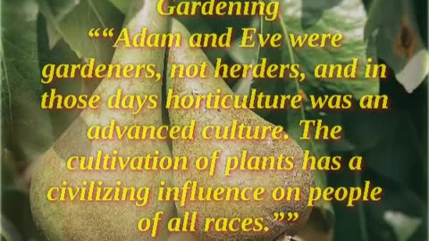 Gardening