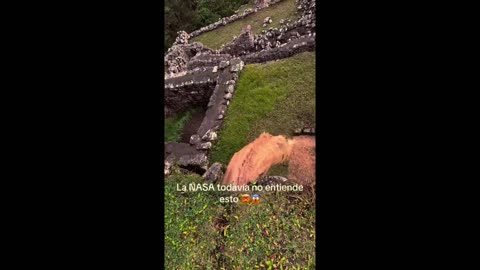 🤯🌿 Majestic Machu Picchu's Ancient Drainage System Still Works! | FeedMyCuriosity