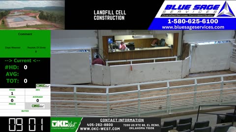 4/5/2025 - Reds in the Heartland Red Angus Sale - OKC West
