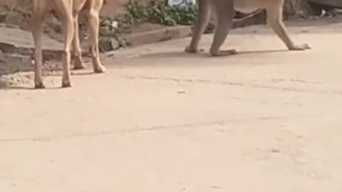 When you already have experience 😁