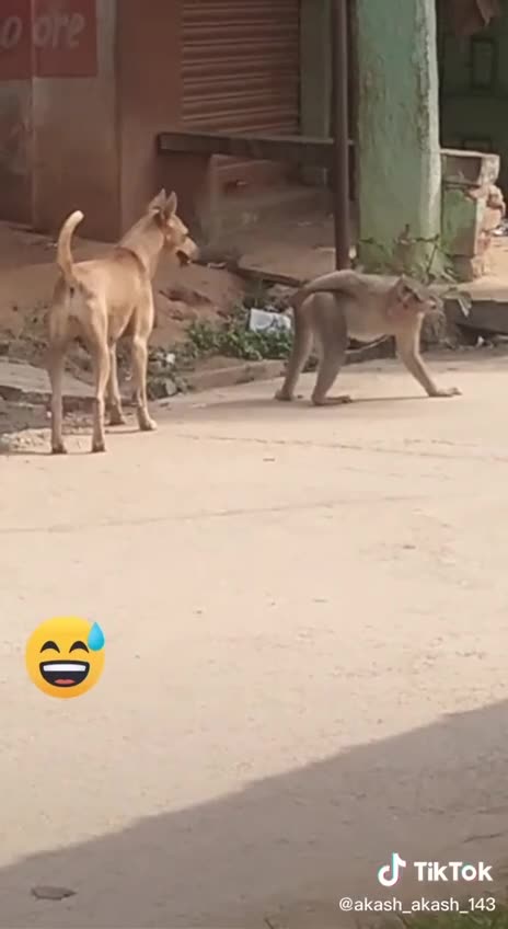 When you already have experience 😁