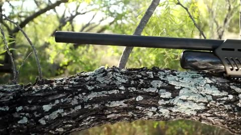 Umarex .50 Cal Hammer Air Rifle - REVIEW