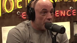 Joe Rogan and Dr. Robert Malone: “Once you get it about vaccines, then you see it everywhere.”