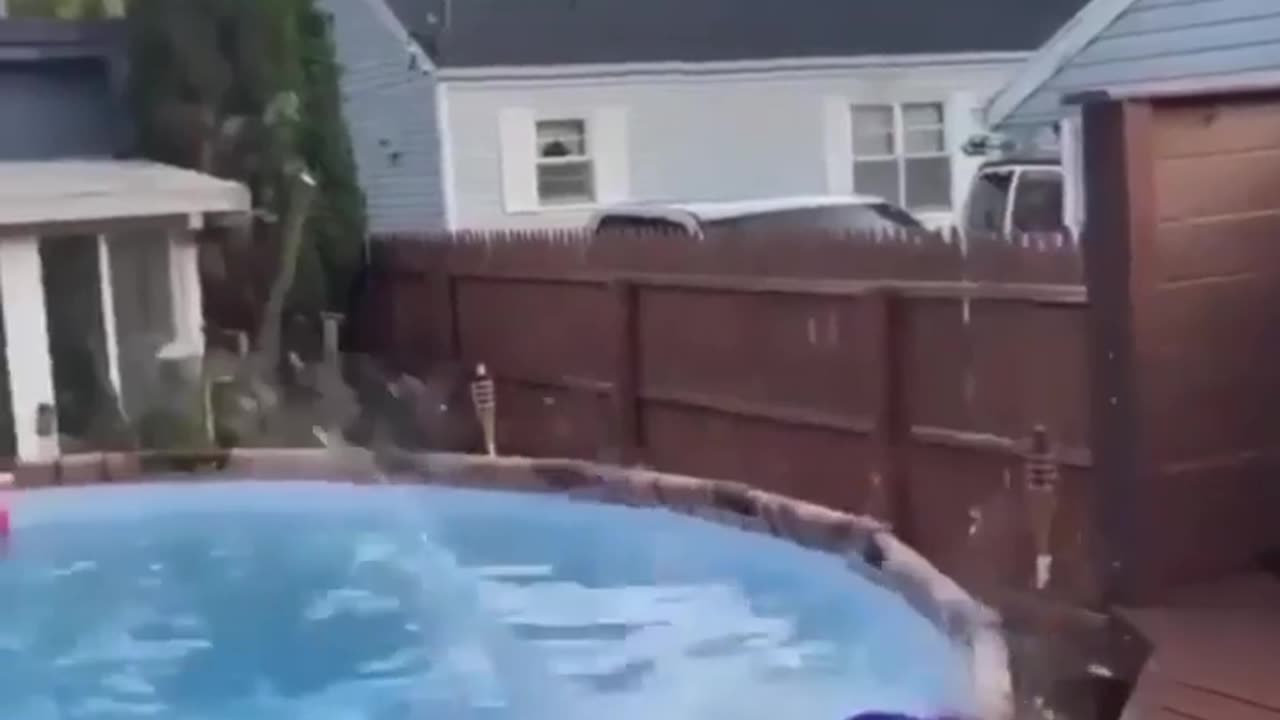 "Only the Best Can Fail Like This! 😂 | Epic Funny Moment"