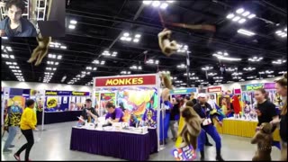 Outtake #1,066 Of Over 2 Monkeys Roam Around A Comic Book Convention Venue Fake Funny Parody Video