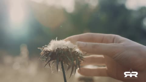 The Thinker and The Prover