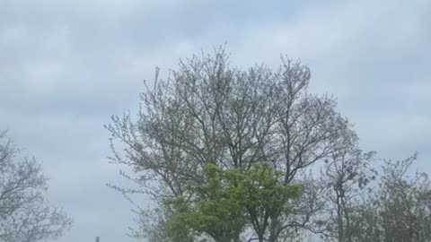 You Are Not a Tree; Not Happy? Move
